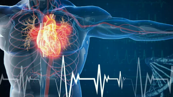 محافظت در برابر ترومبوز: چگونه یک محصول به قلب و عروق خونی کمک می کند